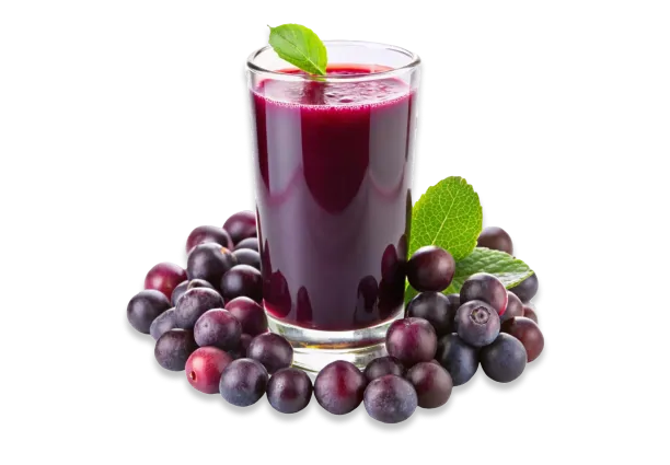 Falsa Shots (2pcs)