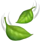 paan-img